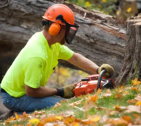 tree services Lakefield